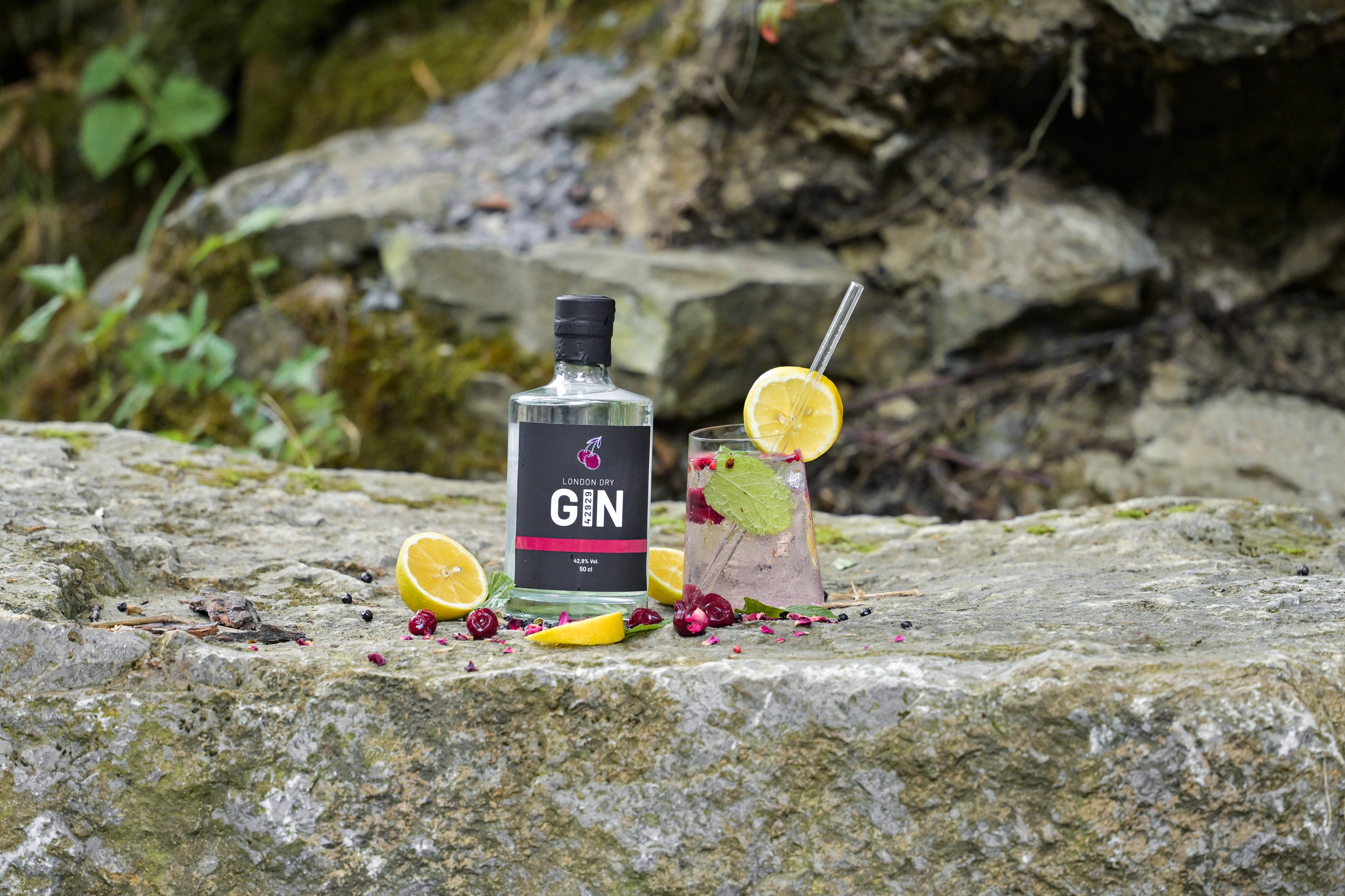 Produktbild 5 London Dry Gin 42929