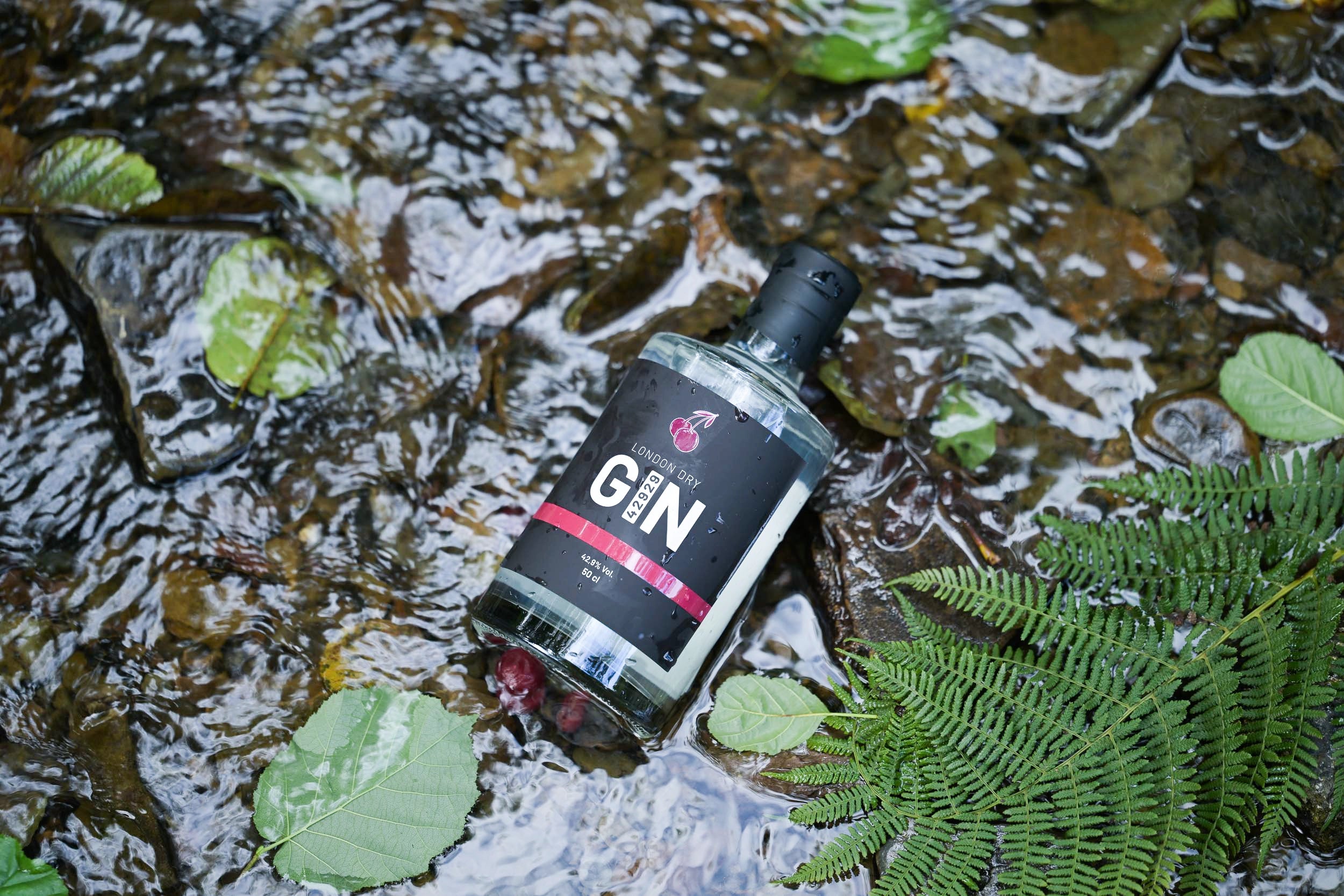 Produktbild 2 London Dry Gin 42929