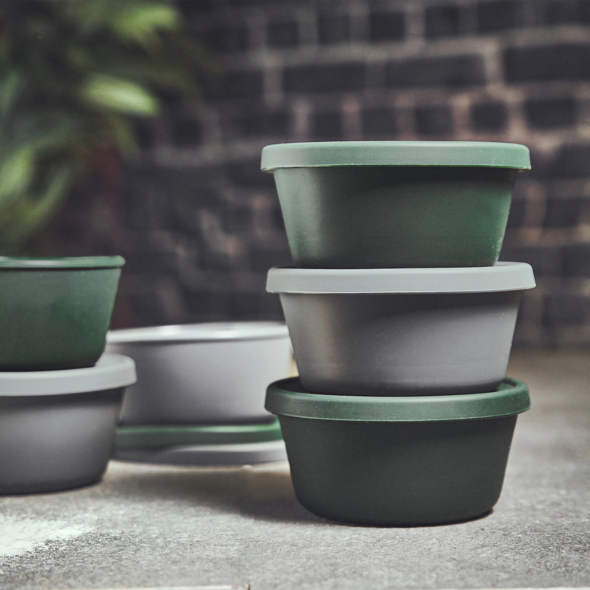 Burnhard Pizzaballenbox mit Deckel 6er-Set