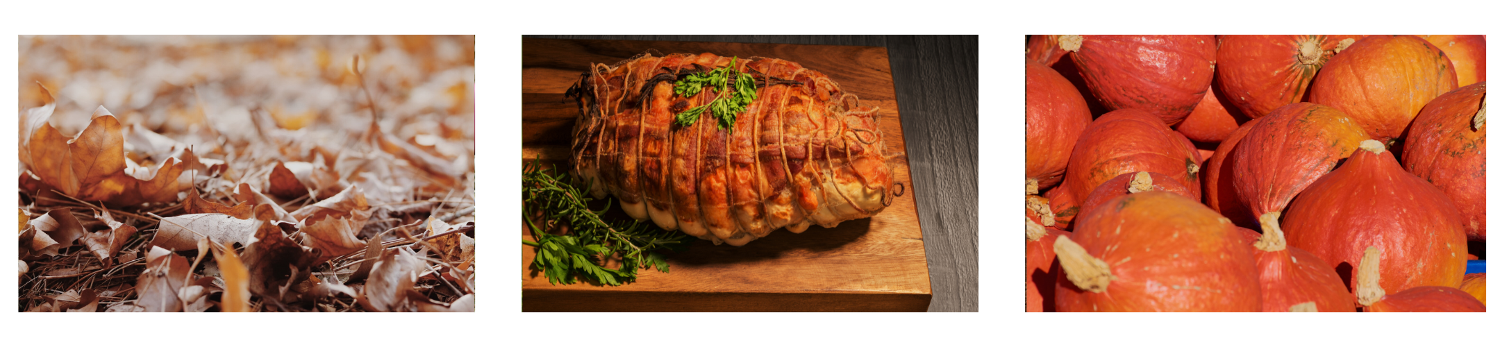 Thanks Giving Banner Desktop