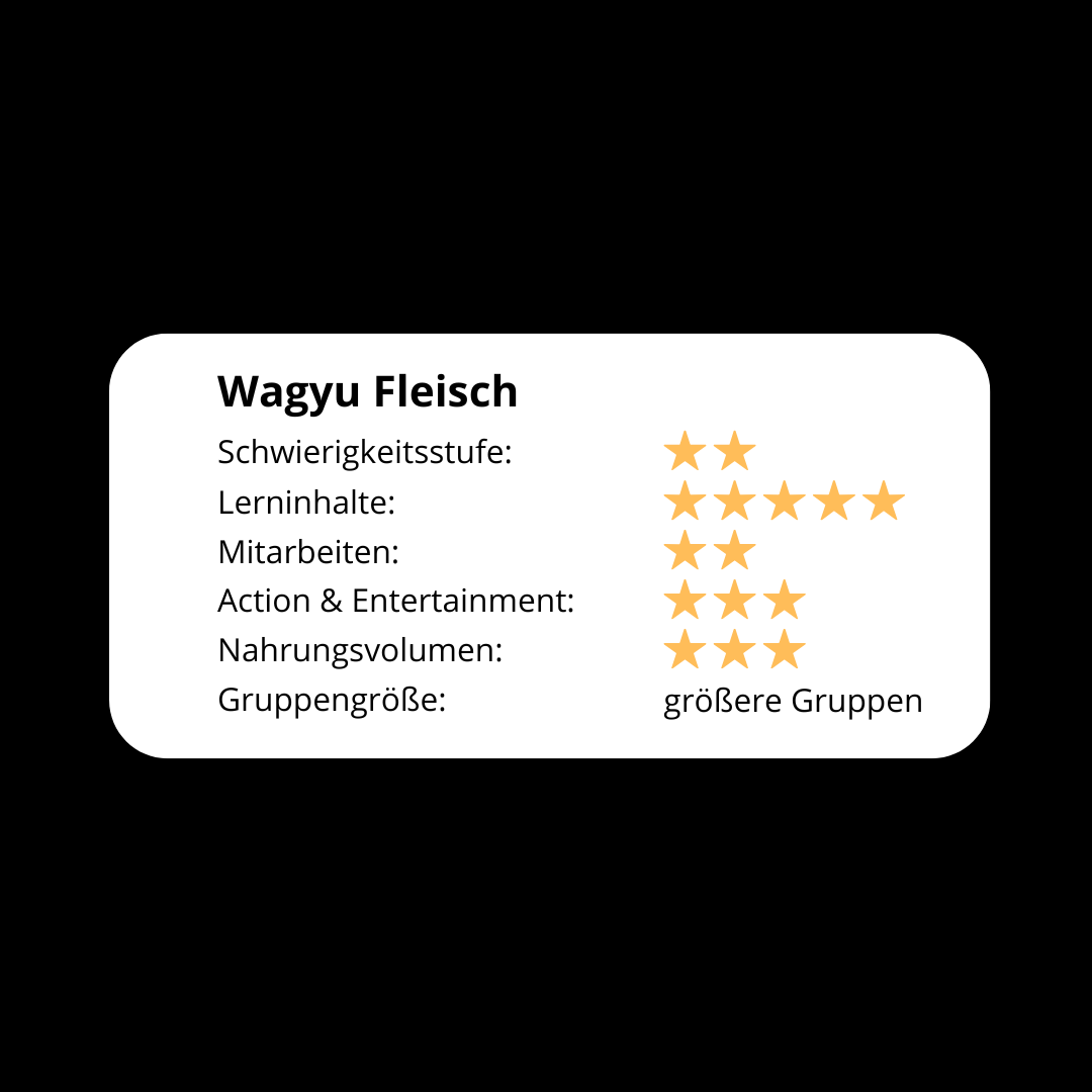 Wagyu Fleisch! Das Rindfleisch Seminar