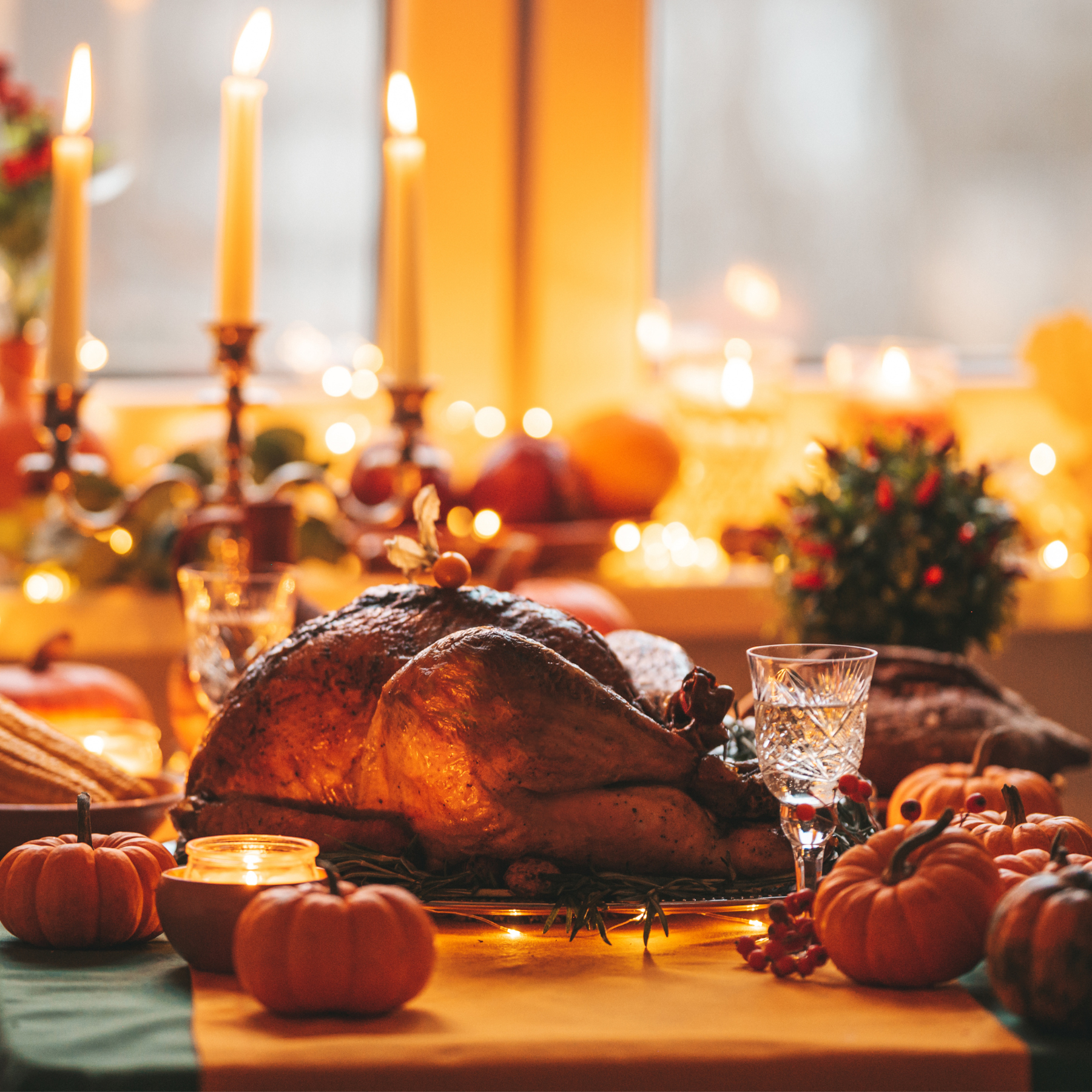 Thanksgiving Truthahn