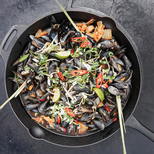 Petromax Feuerpfanne fp40 mit Stiel