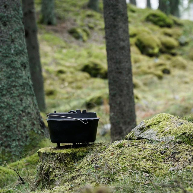 ein großer Dutch Oven auf einem mit Moos bewachsenem Baumstumpf in einem Nadelwald