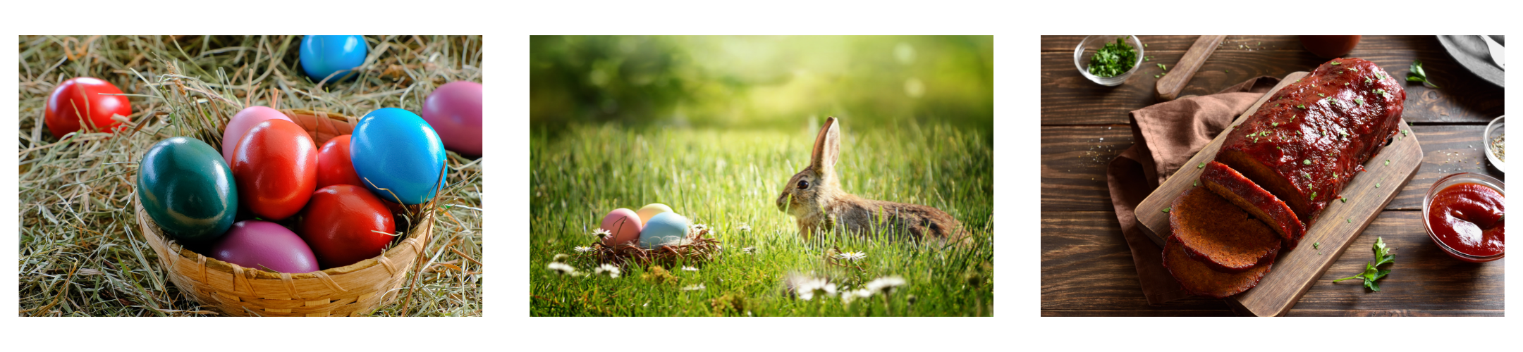 Oster Banner Desktop